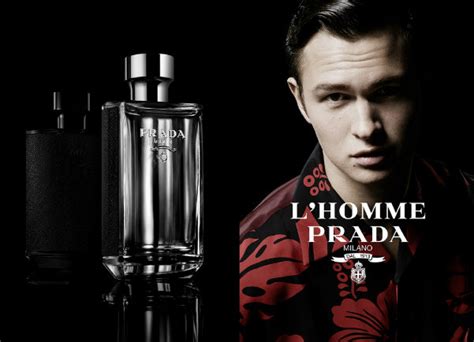 l'homme Prada toilet